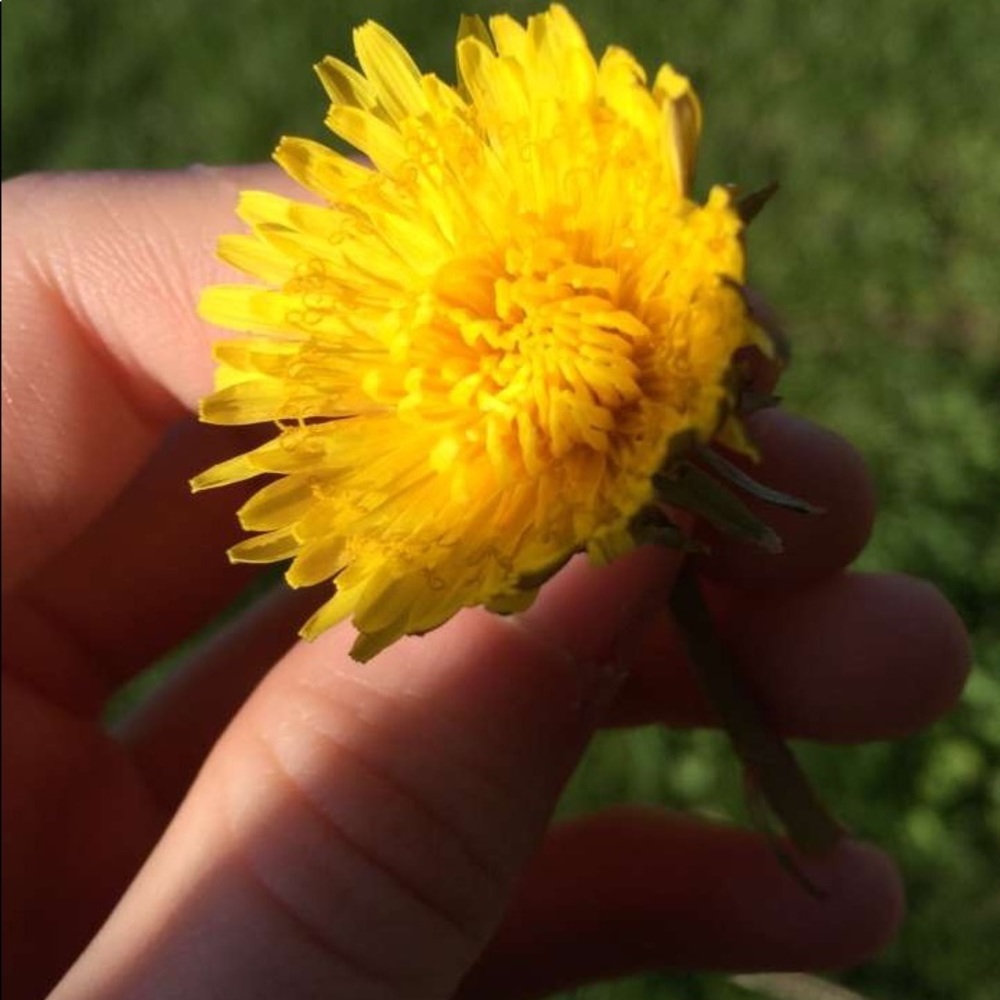 Meet your Posher, Caroline